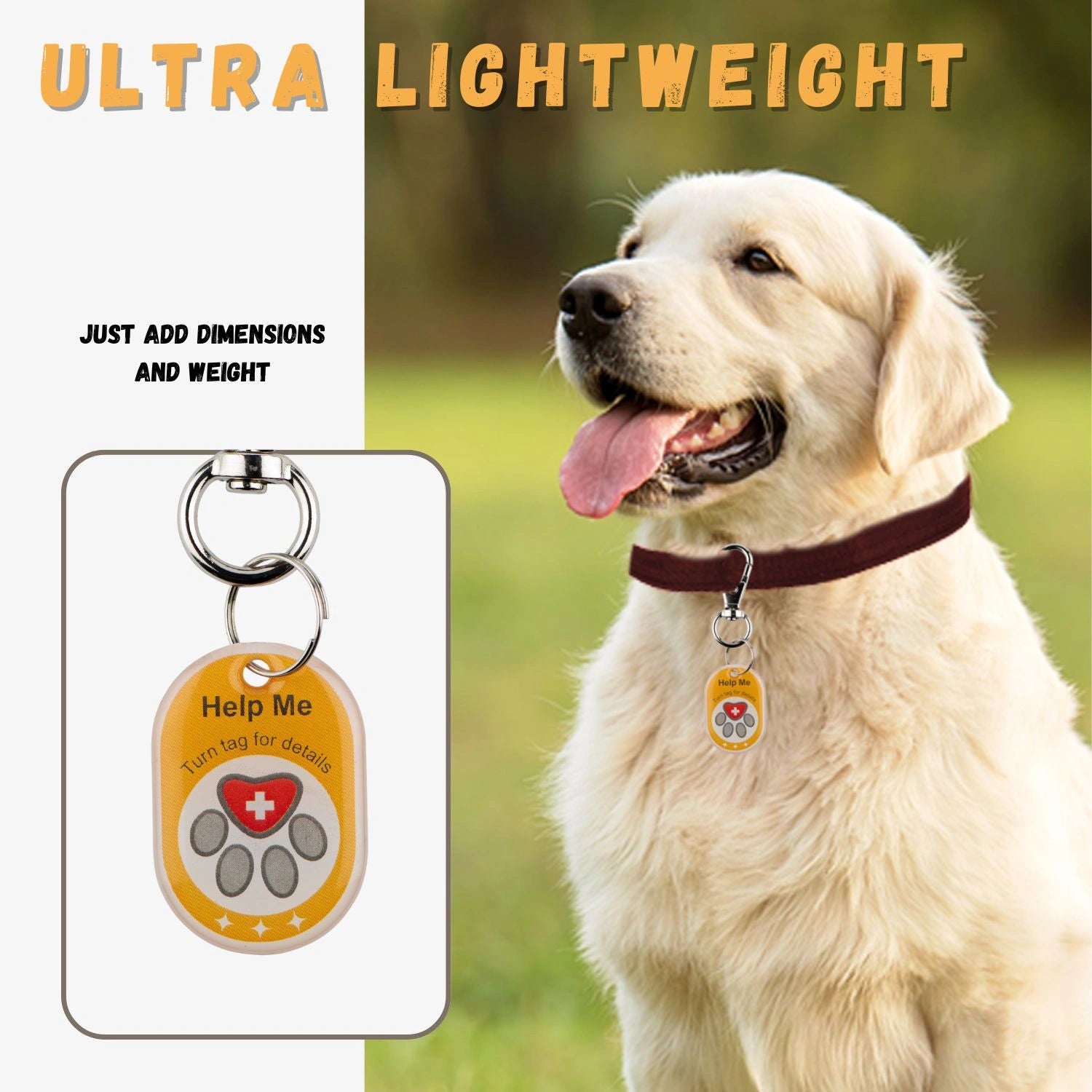 Genie Smart Pet Tag | QR Code Dog Tag for Easy Pet Tracking & Locate