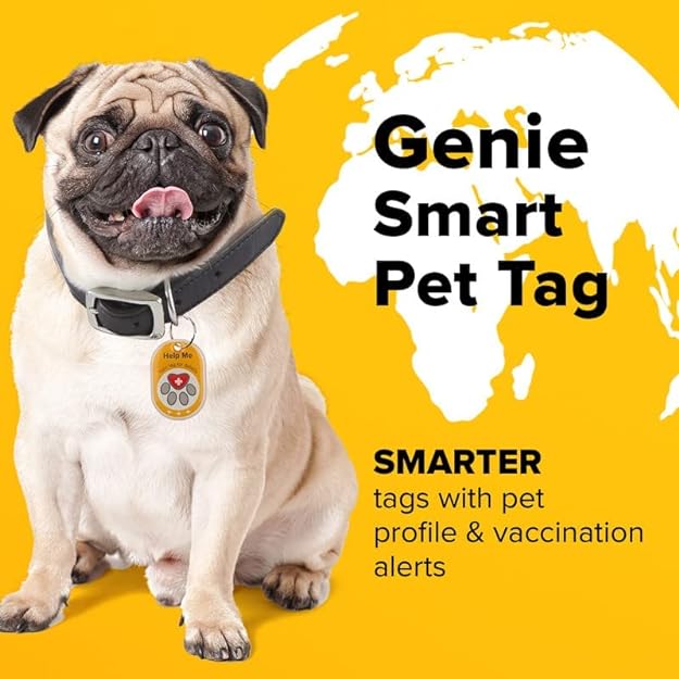 Genie Pet Tag - tag8