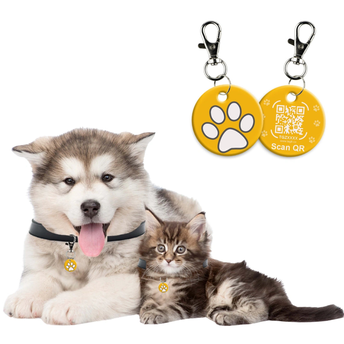 Tag8 Genie Pet Tag with smart QR code for pets – secure, scannable ID tag to help reunite lost pets with their owners