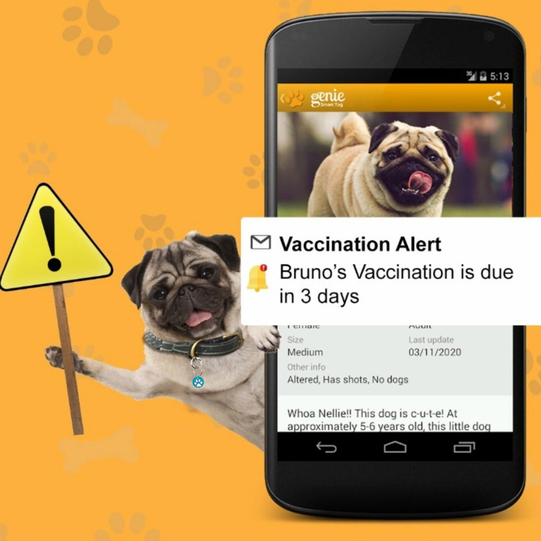 Tag8 Genie Pet Tag with smart QR code for pets – secure, scannable ID tag to help reunite lost pets with their owners