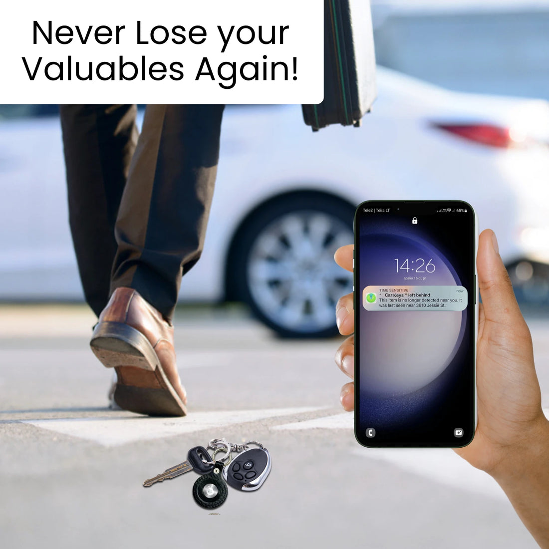 Dolphin Smart Tracker Huthur