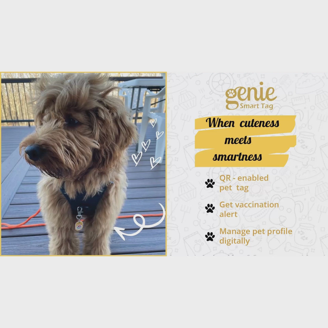 Genie Smart Pet Tag | QR Code Dog Tag for Easy Pet Tracking & Locate